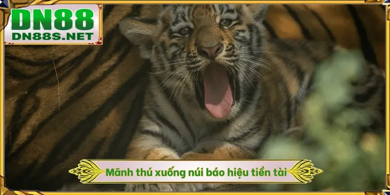 Mãnh thú xuống núi báo hiệu tiền tài